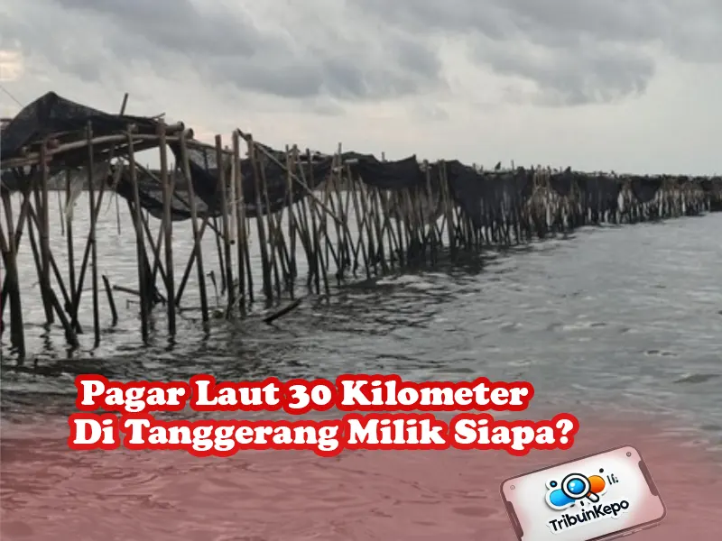 Misteri Pemilik Pagar Laut 30 Kilometer di Laut Tangerang: Siapa Dalangnya?